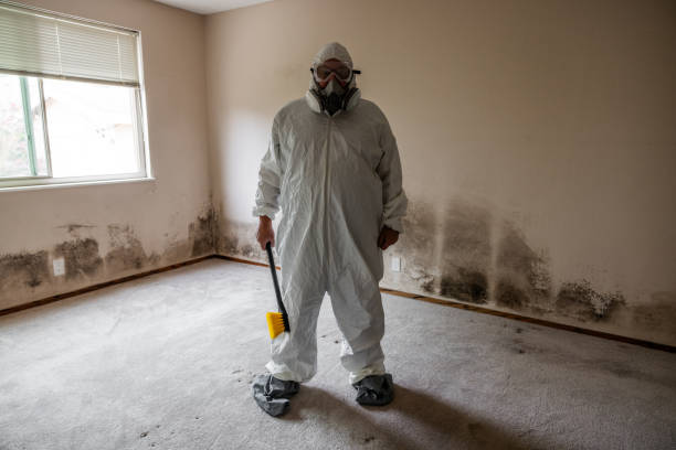Best Toxic Mold Removal  in Livingston, MT